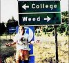 college or weed.jpg