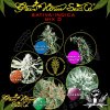 Greenhouse-Seeds-Sativa-indica-mix-d.jpg