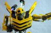 bumblebee3.jpg