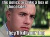 Chocolate kill your dog.jpg