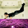 Mission-Impossible-Movie-1996-Tom-Cruise-Hanging-from-Ceiling-Computer-Ethan-Hunt.jpg