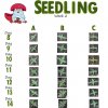week 2 seedling copy.jpg
