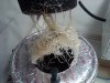 girl 1 day 18 roots 1.jpg
