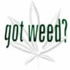 got weed!.jpg