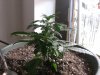 Day 27- Before LST.jpg