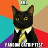 random catnip test.jpg