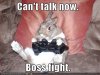 thumbs_funny_animals_rabbit_cant_talk_right_now_boss_fight.jpg