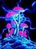 trippy4x-neon-mushrooms.jpg
