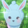 fluffy_rabbit