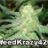 WeedKrazy420