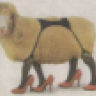 Sheep In Shoes