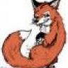 Slii Fox