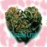 CannabisCrush