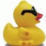 QuackD