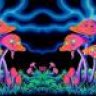 marijuanashrooms401