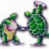 turtle360