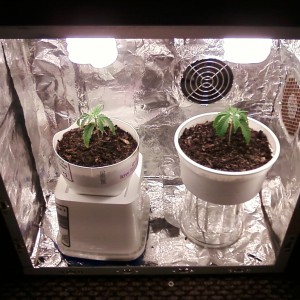 grow box (old computer casing)