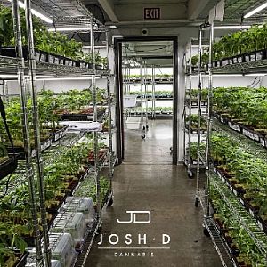 Josh D Farms Nursery (1)