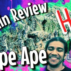 Grape Ape Strain Review - YouTube